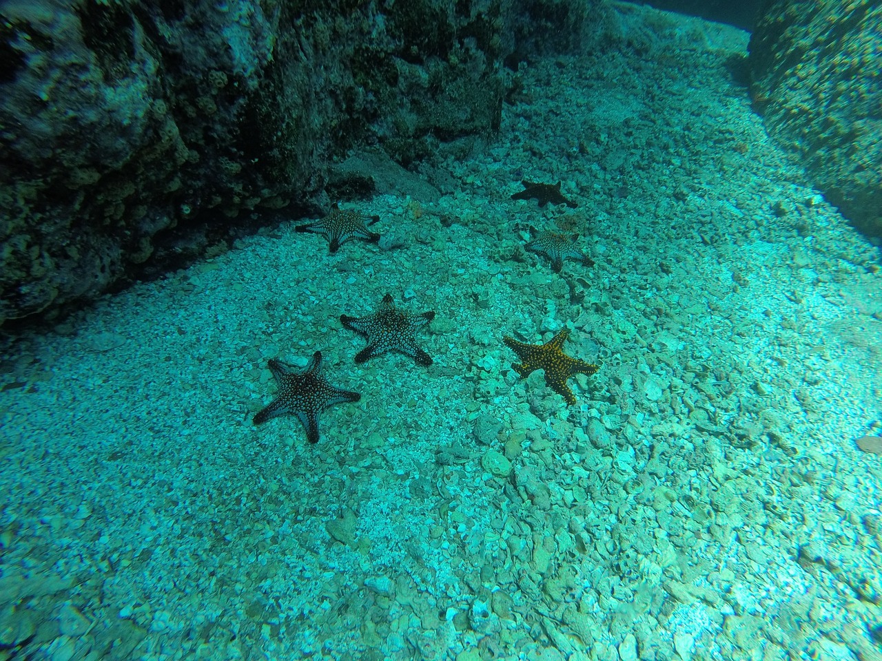 Climate Change Decreases Organic Carbon Burial at Bottom of Oceans While Increasing Atmospheric Carbon - Vimarsana News