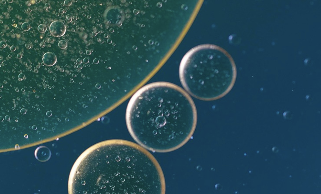 When a Biofilm is in Danger, It Can Hit the Eject Button