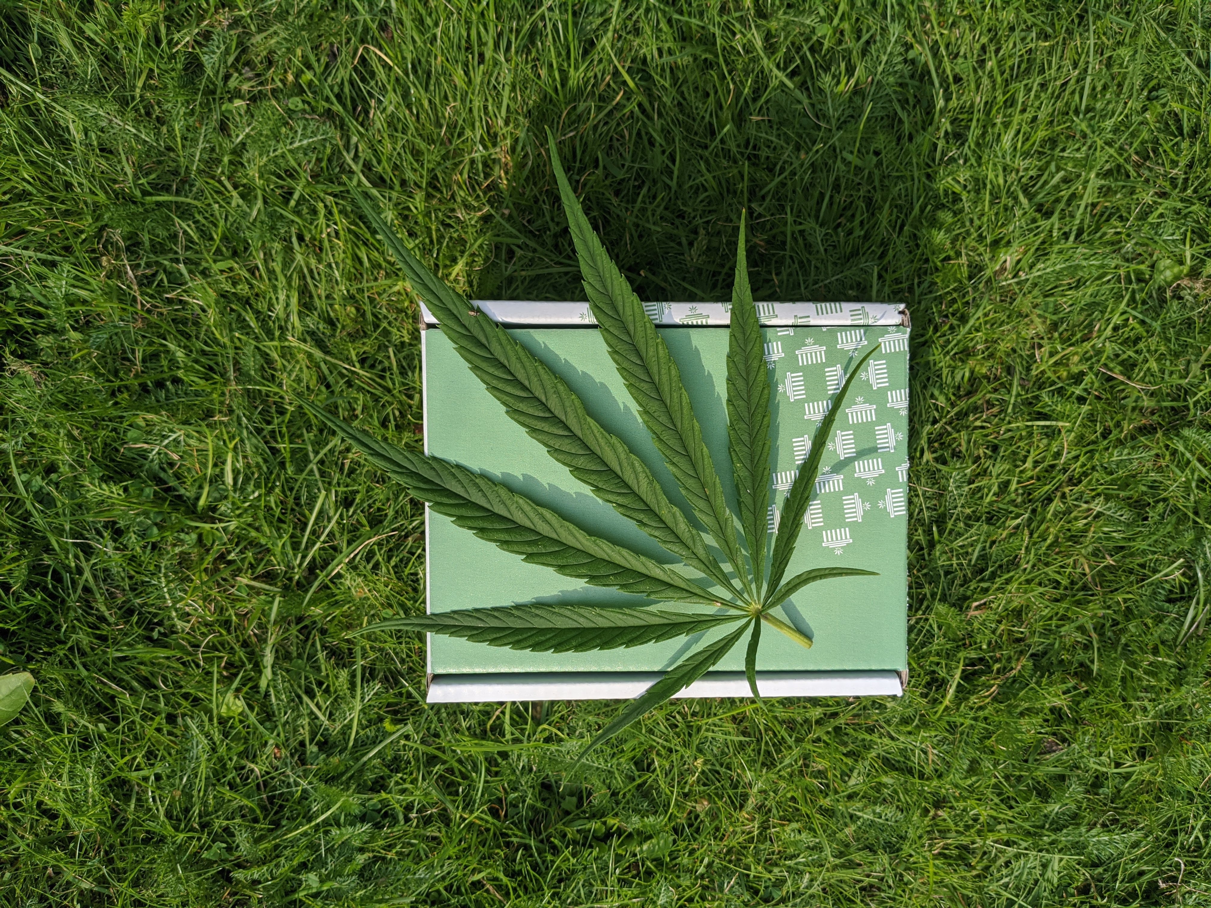 What are dab rigs, and how do they work? | Cannabis Sciences