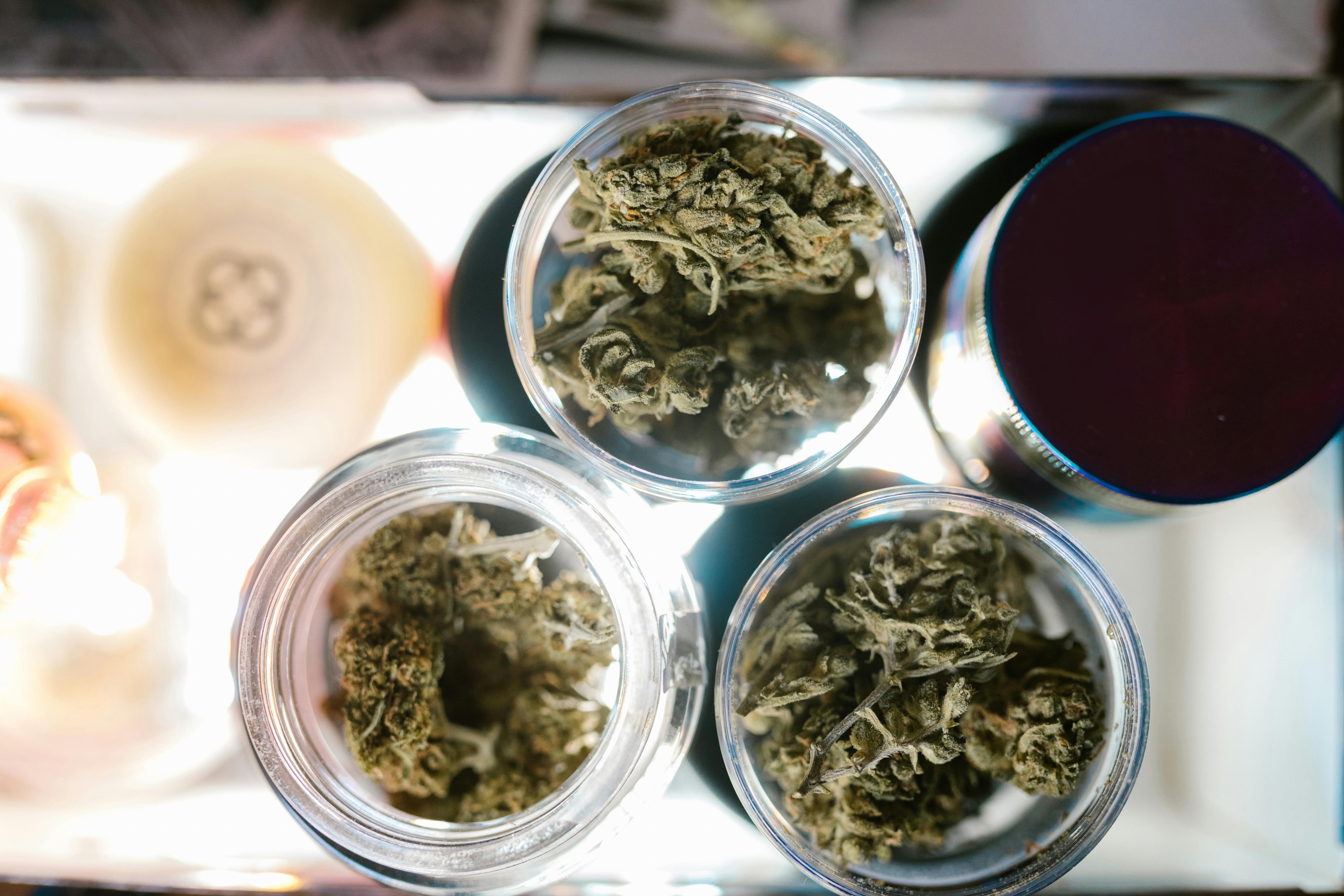 Study Features Standardized Language for Categorizing Cannabis Aromas