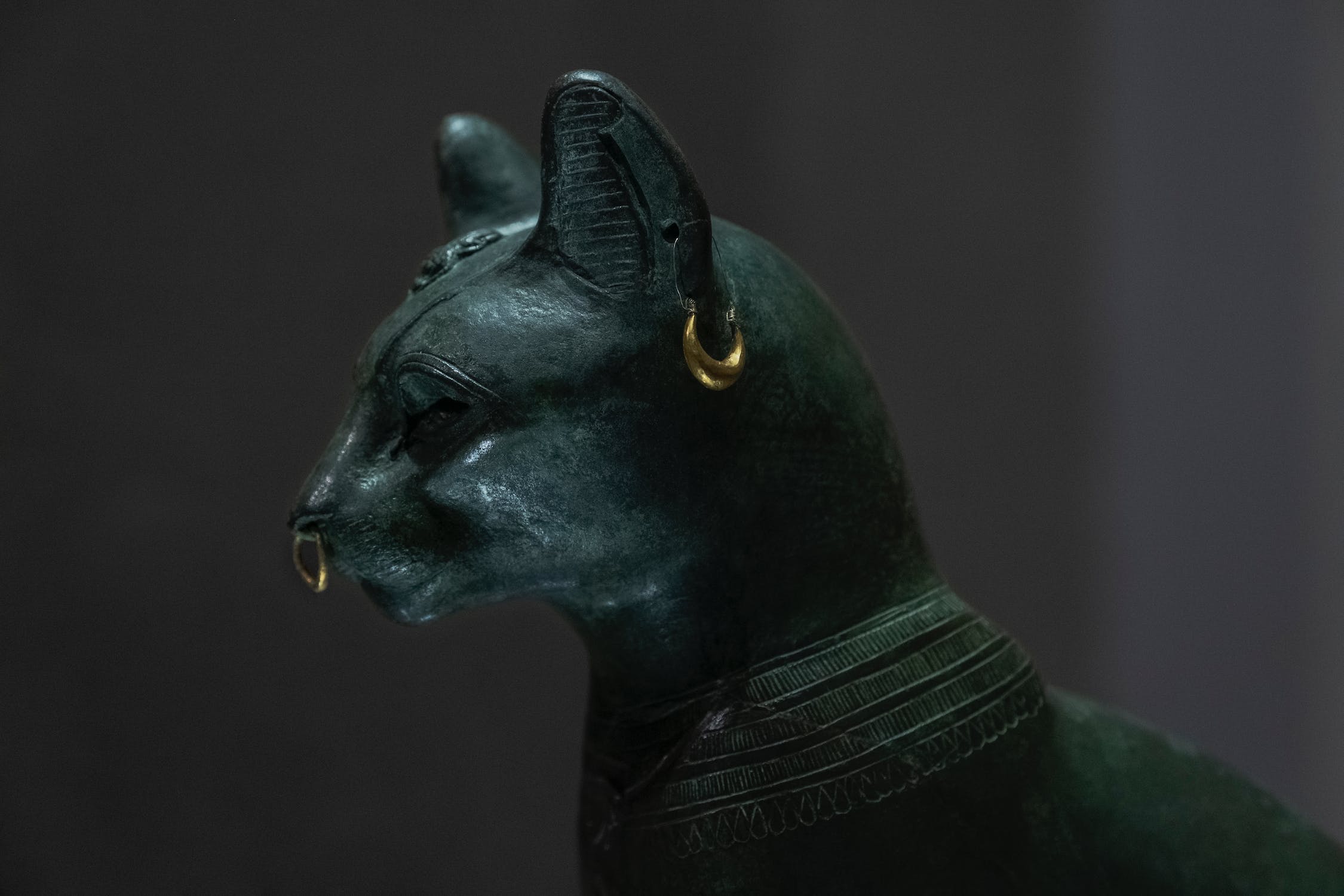 Non-invasive imaging reveals contents of ancient Egyptian animal coffins - Vimarsana News