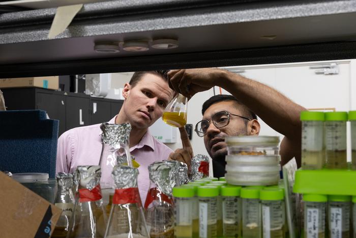 Looking to Nature for Bioinspired Material Innovation