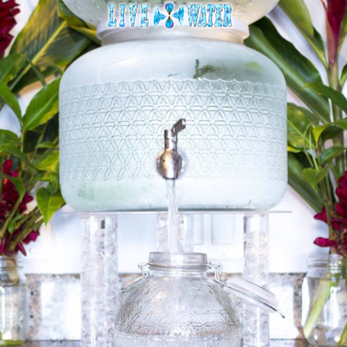 The 'Raw Water' Trend Microbiology