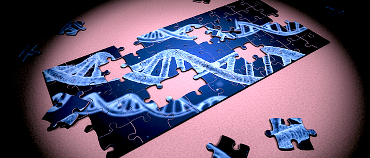 'Jumping' Genes Can Regulate Gene Expression in Human Neurons