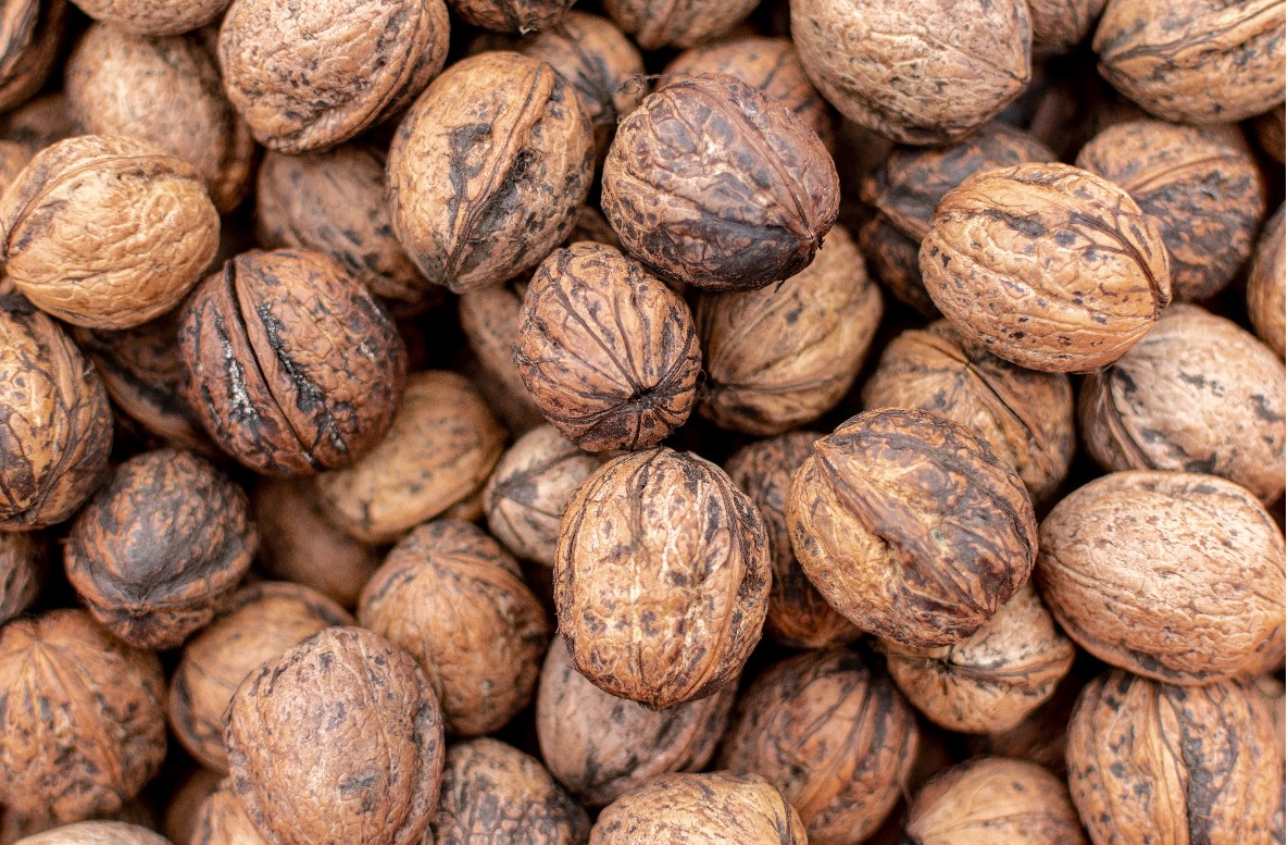 Walnuts a Day keeps Breast Cancer away Health And Medicine