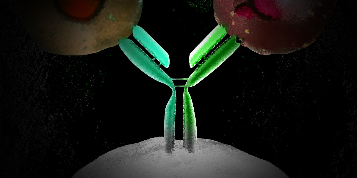 The New Era of Bispecific Antibodies for Cancer Immunotherapy | Cancer