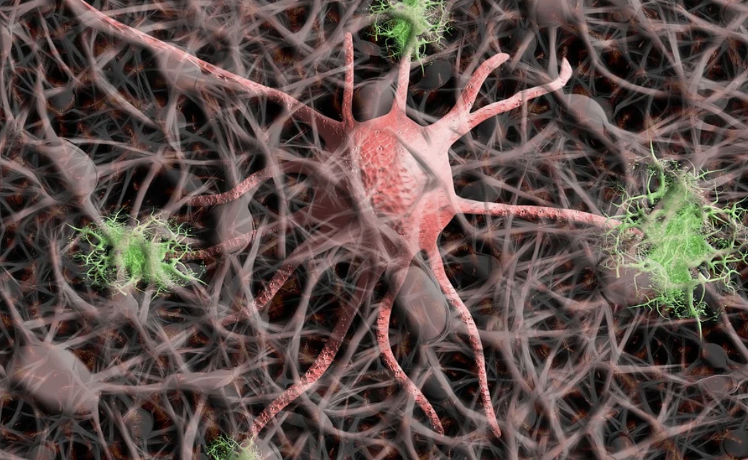 Increased Activity From Transposons ID'ed in Neurodegeneration
