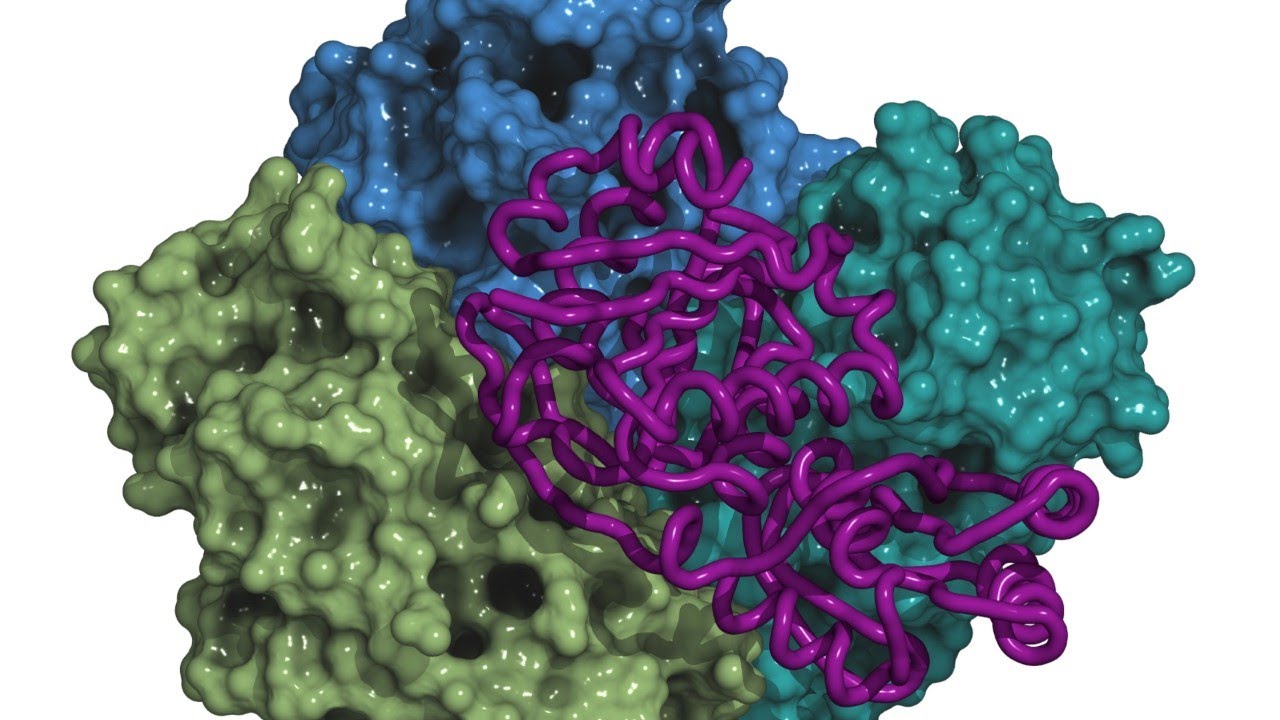 Second Gene Therapy Treatment for Cancer Approved by FDA | Videos