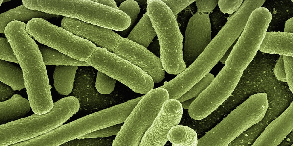 Stunted Gut Microbiome Triples Type 1 Diabetes Risk