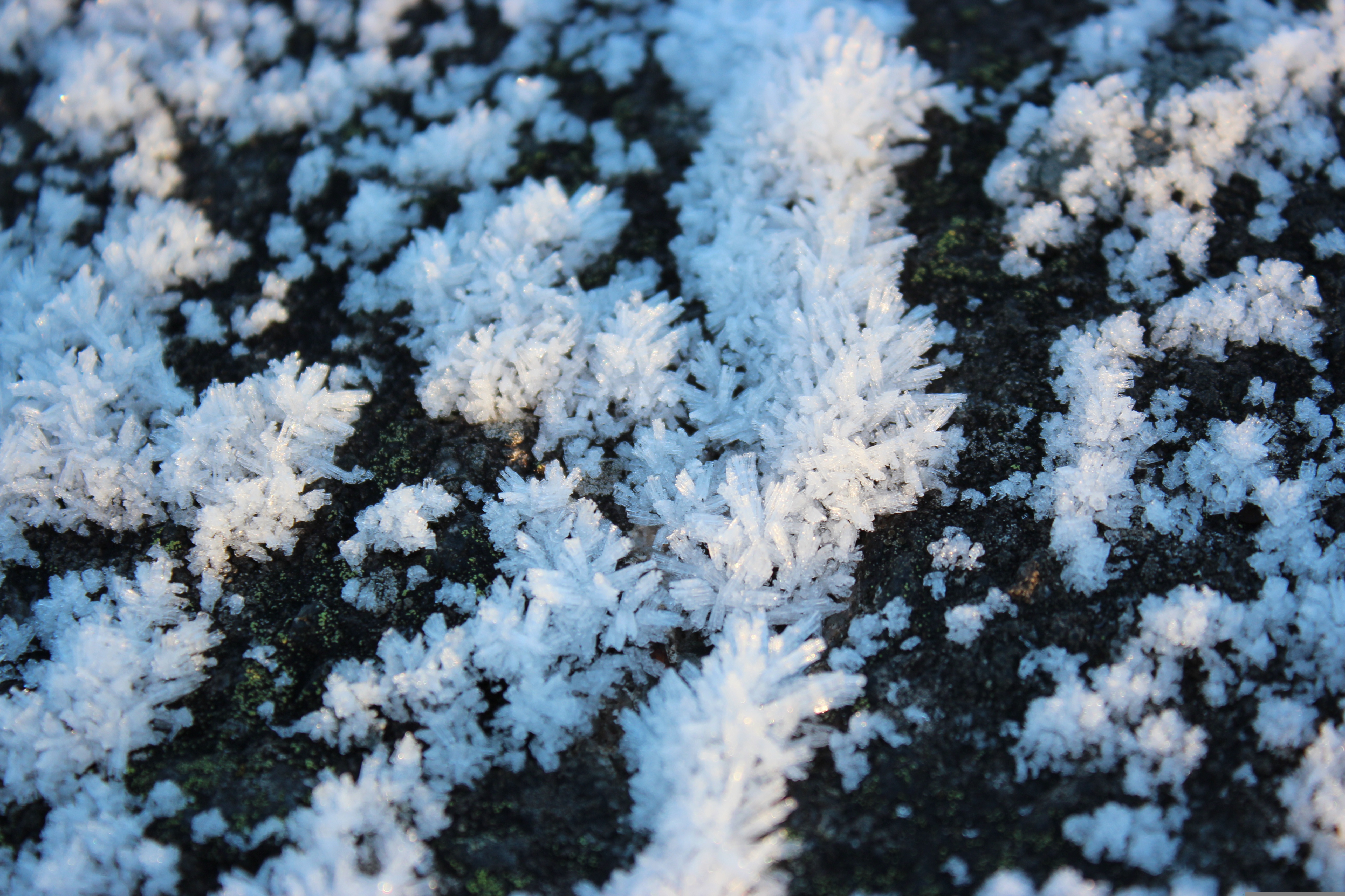 Thawing Permafrost Rocks May Help Absorb Carbon Dioxide