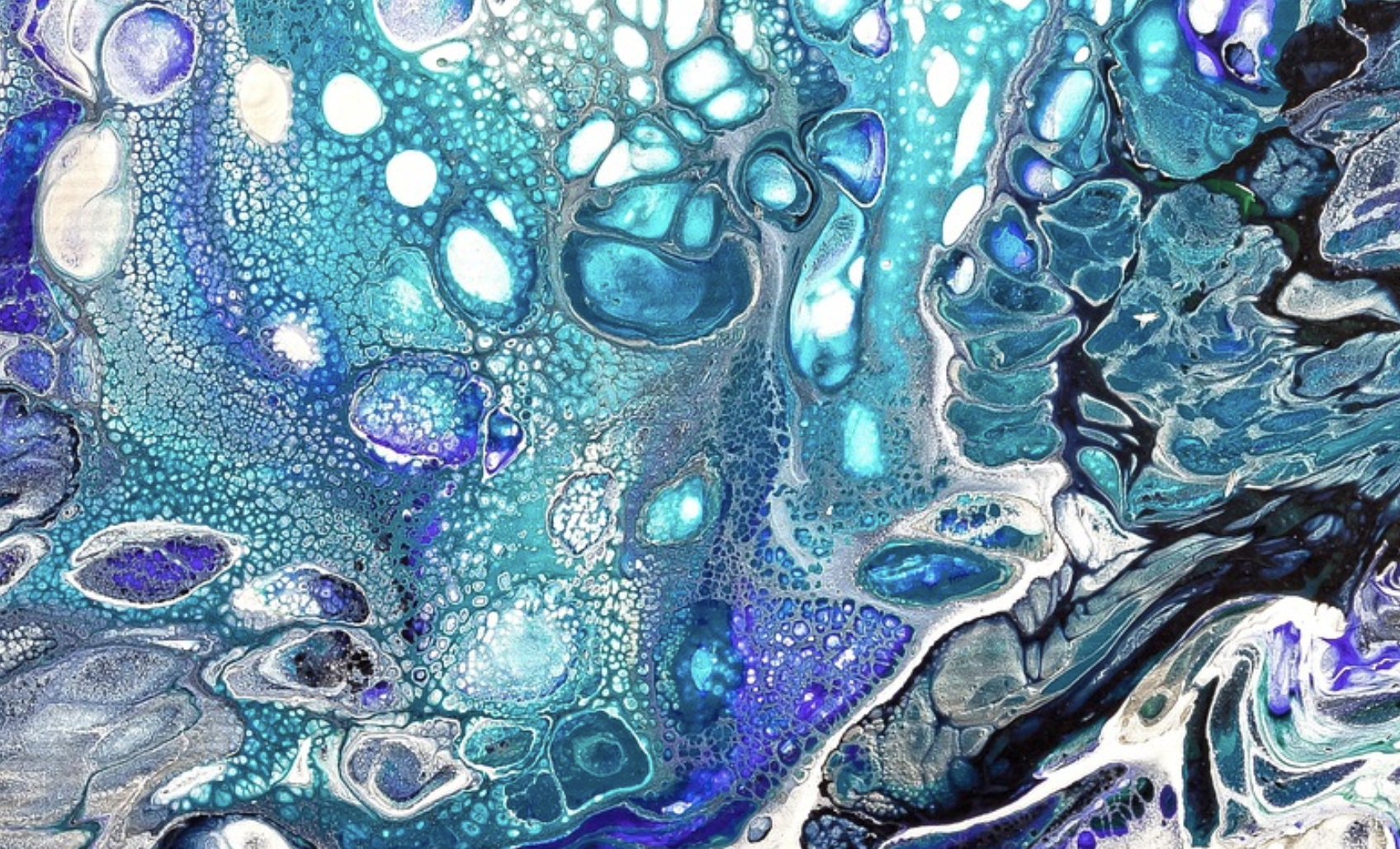 Specific Gut Microbes Linked to Changes in Aging Rates