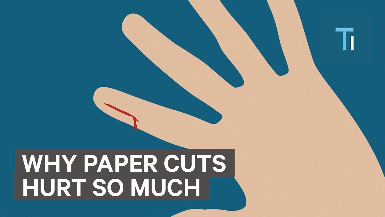 Песня paper cuts. Papercuts hurt work safely.