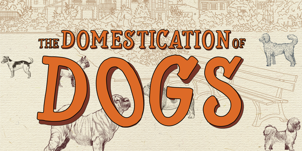 The Domestication of Dogs Infographics