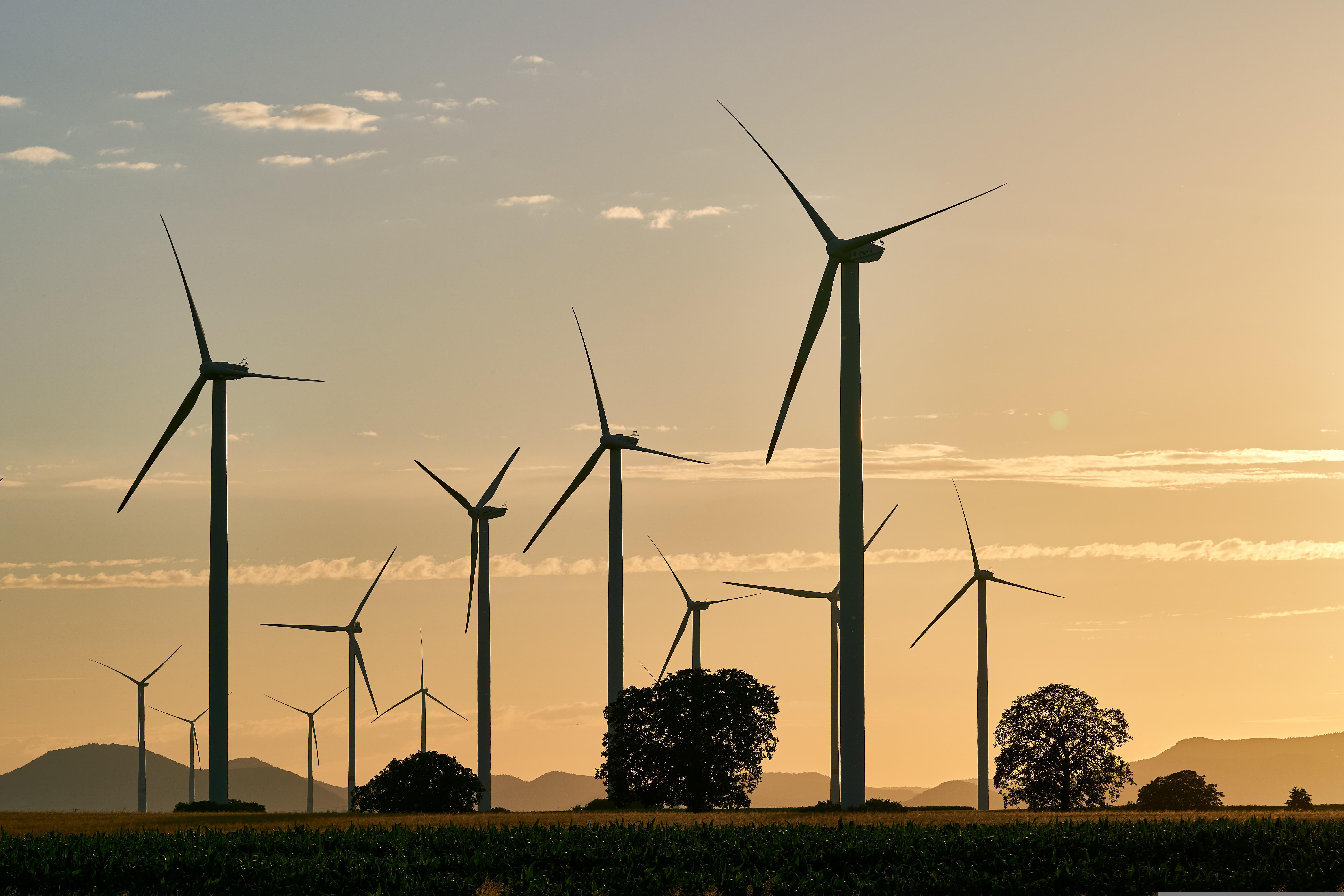 Solar and Wind Outperform Direct Air Capture for Climate