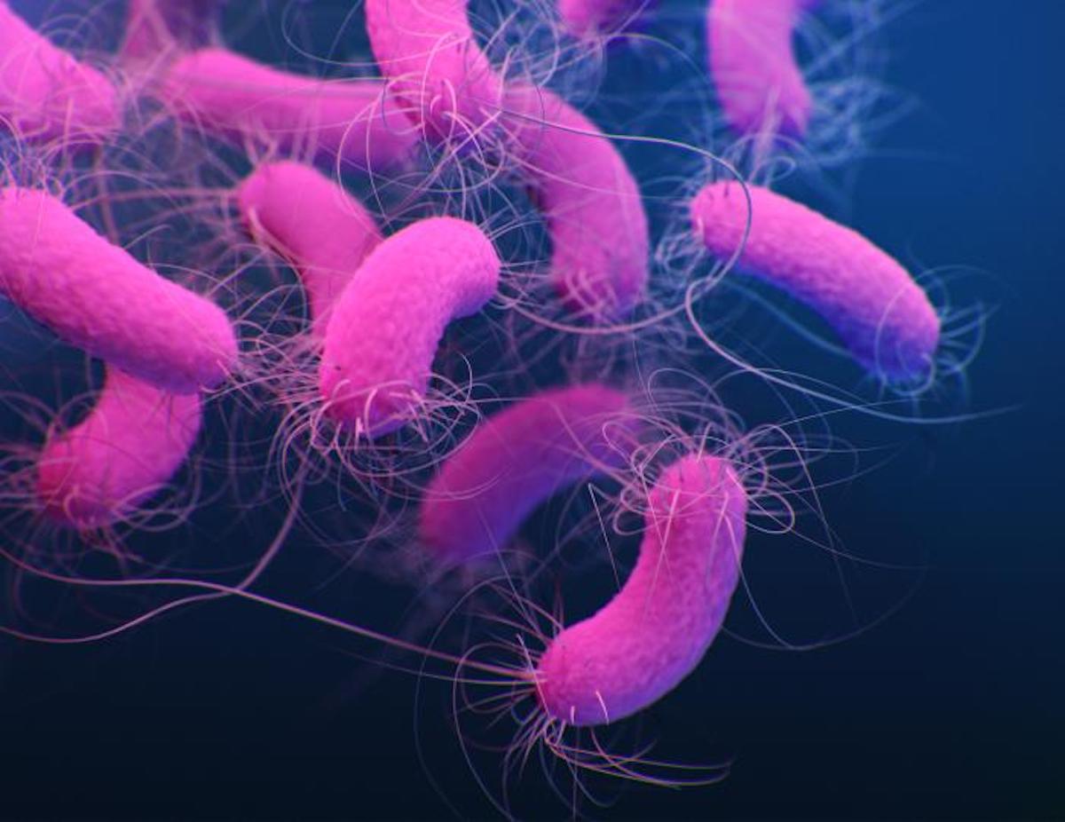 How Microbes Use Copper to Make an Antibiotic - Vimarsana News