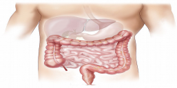 Engineered Virus Cures Girl's Antibiotic-resistant Infection | Cell And ...