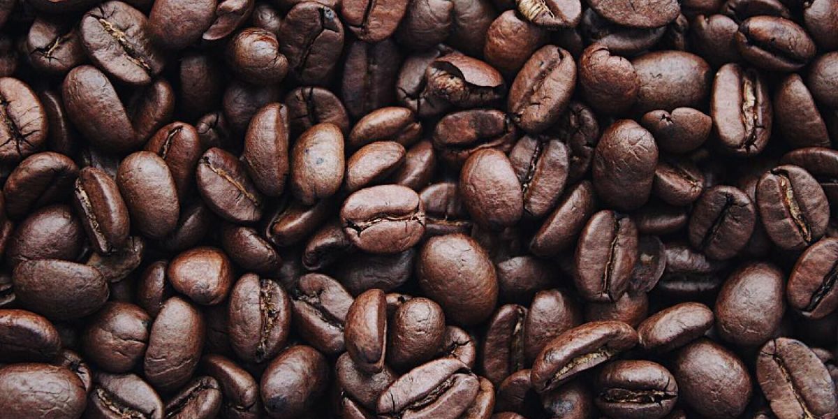 Caffeine May Lower Parkinson's Risk by 4-8 Times - Vimarsana News