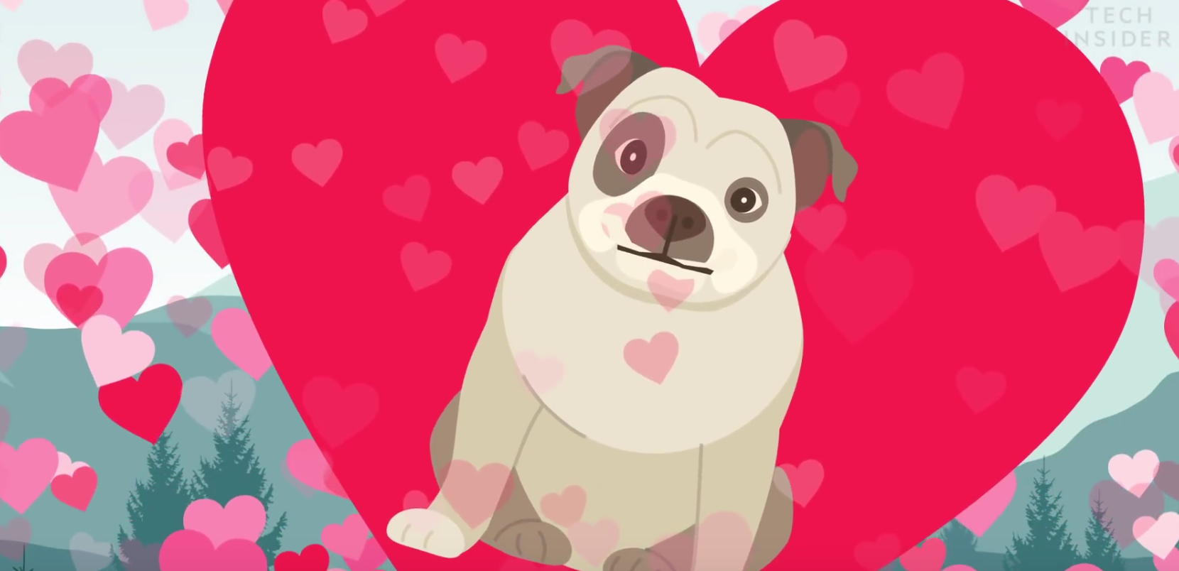 Here's How to Tell if Your Dog Actually Likes You Plants And Animals