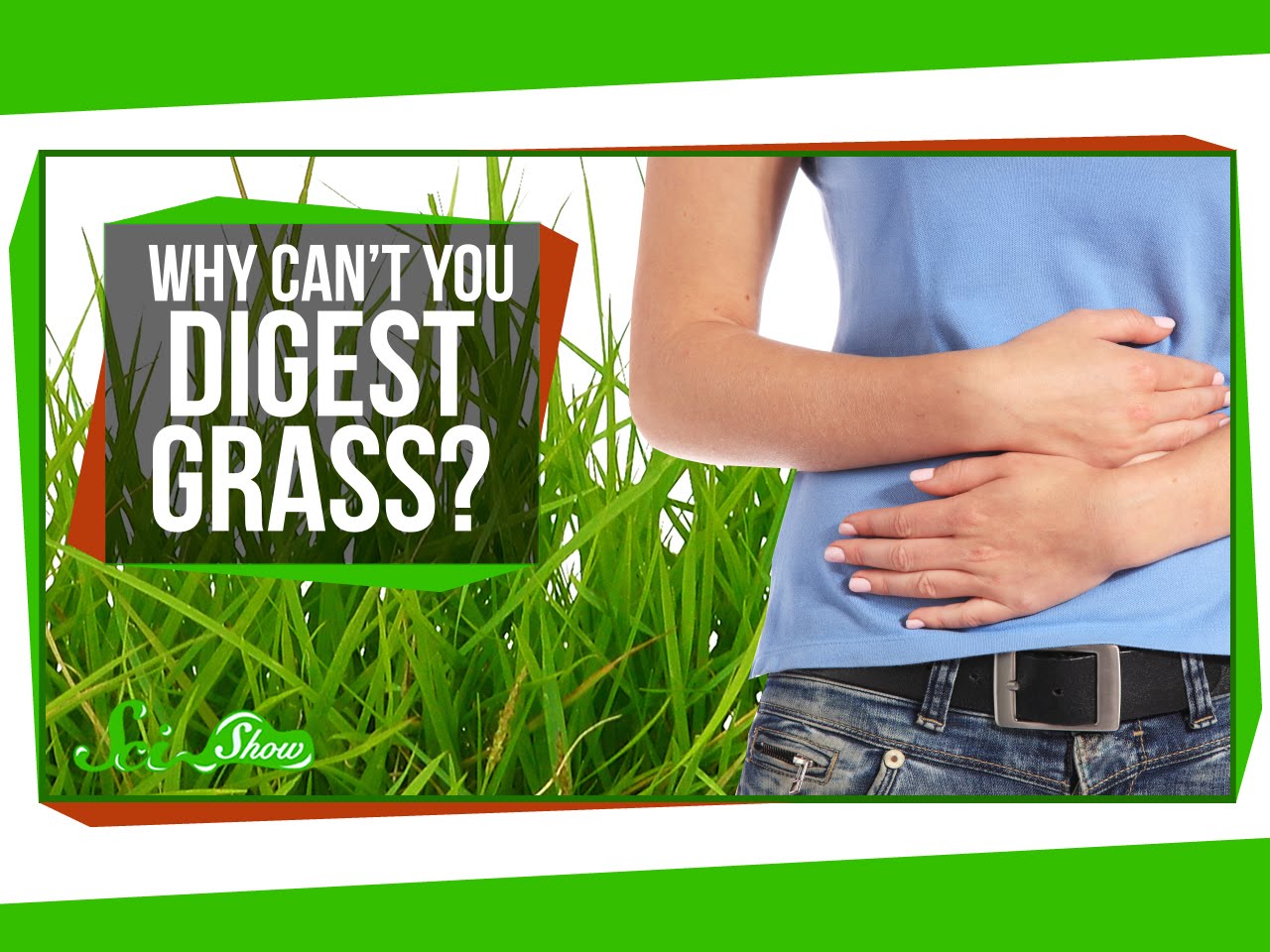 Grass Good for Cows, Not so Much for Humans Videos