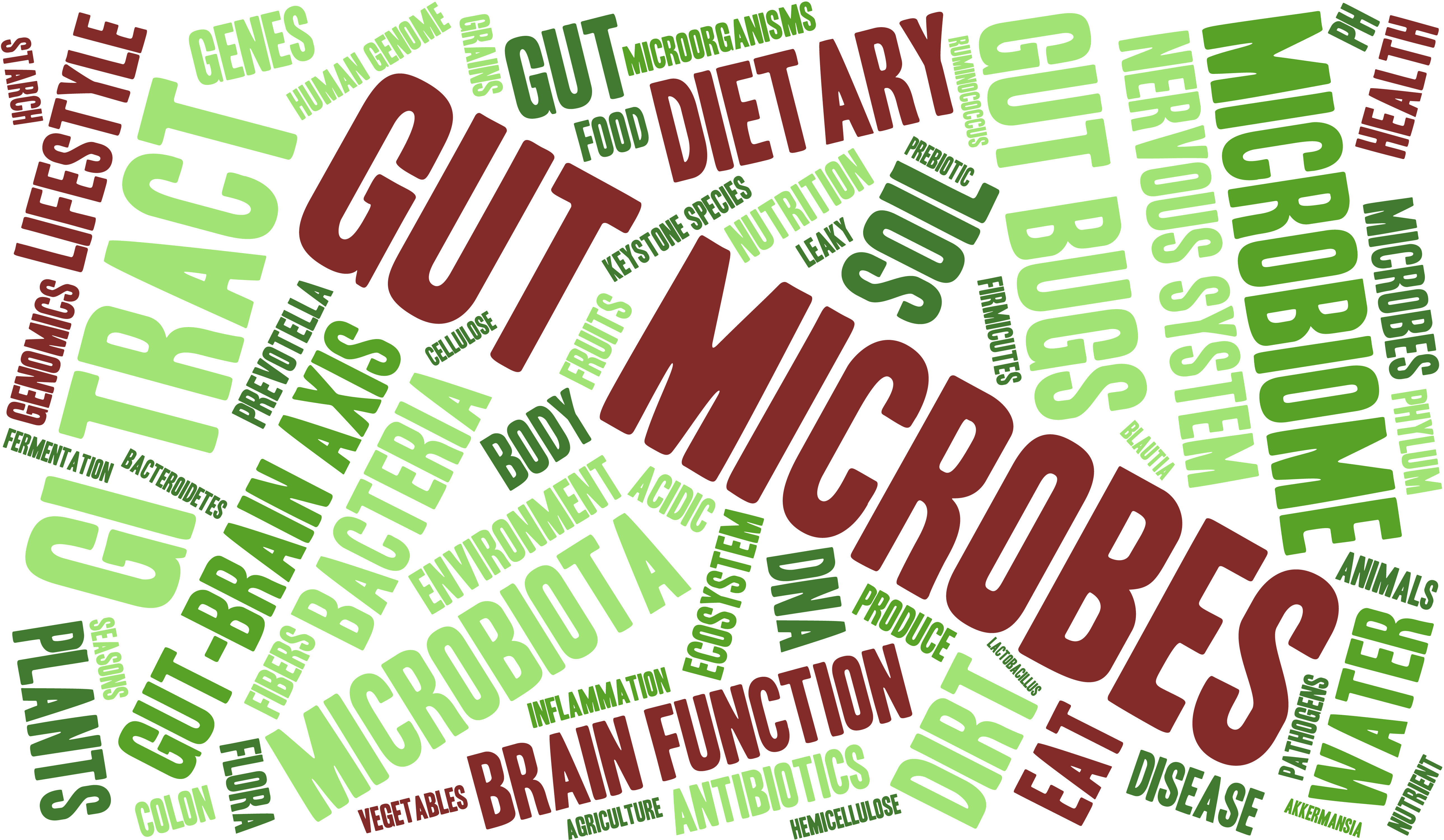 Gut microbes talk to the immune system Microbiology