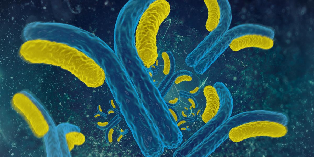Functional Characterization of Monoclonal Antibodies Using Kinetic Live ...