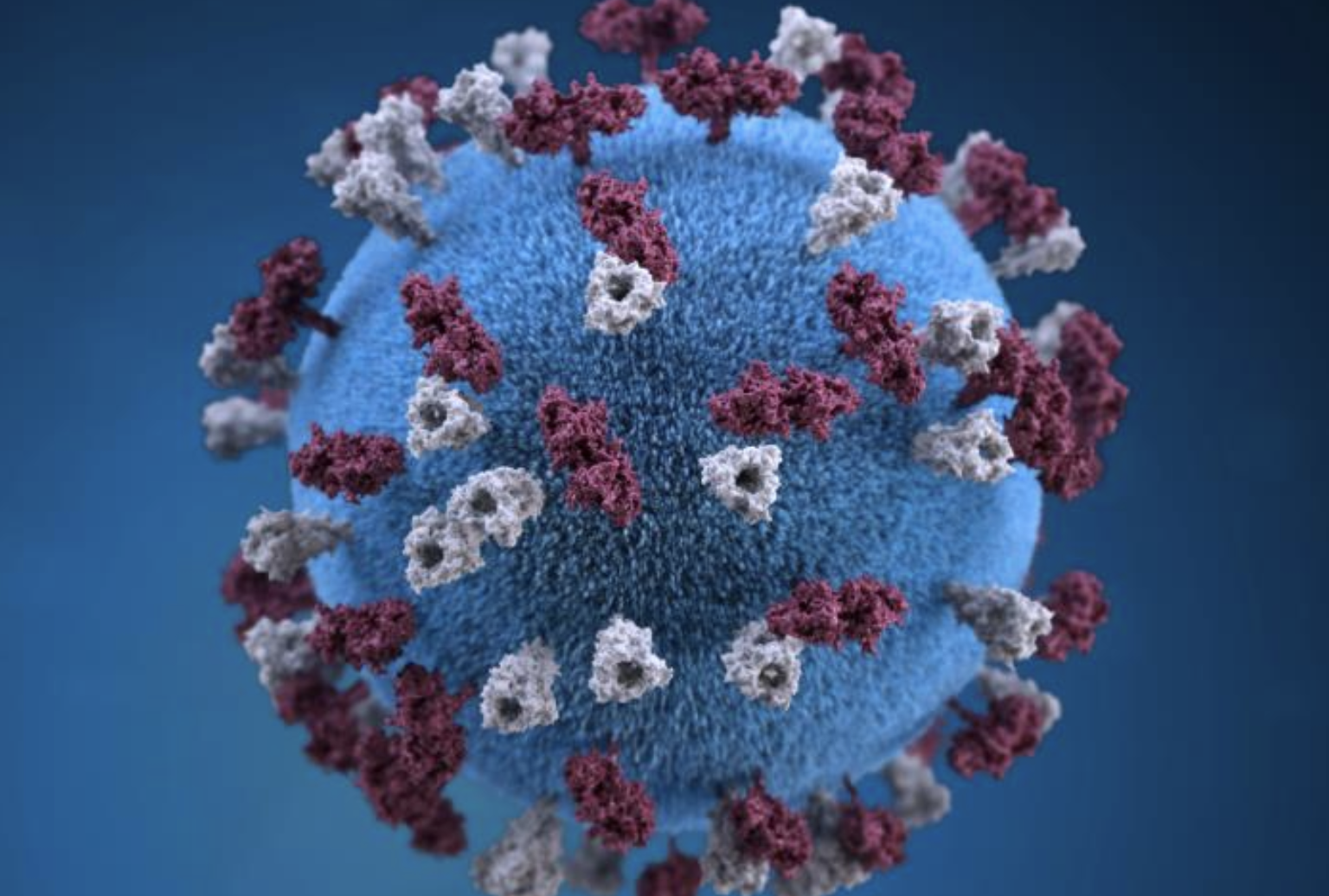 Outbreak Updates: Measles in the US, Ebola in the DRC