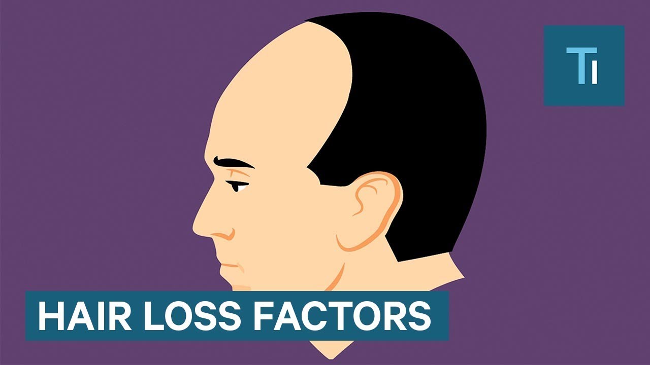 Why Do Old People Have Less Hair? Videos