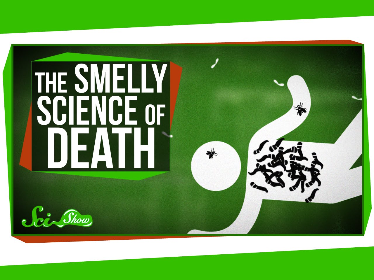 The Science Behind Death | Videos