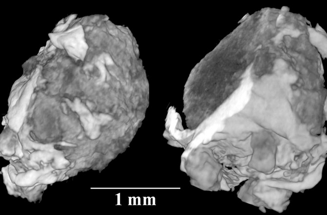 Meteor Inside Space Crystal Survives Inside an Ancient Meteori | Space