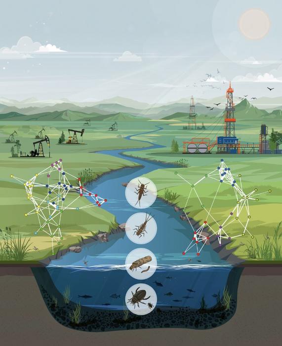Old Oil Wells Cause Persistent Biodiversity Loss in Streams