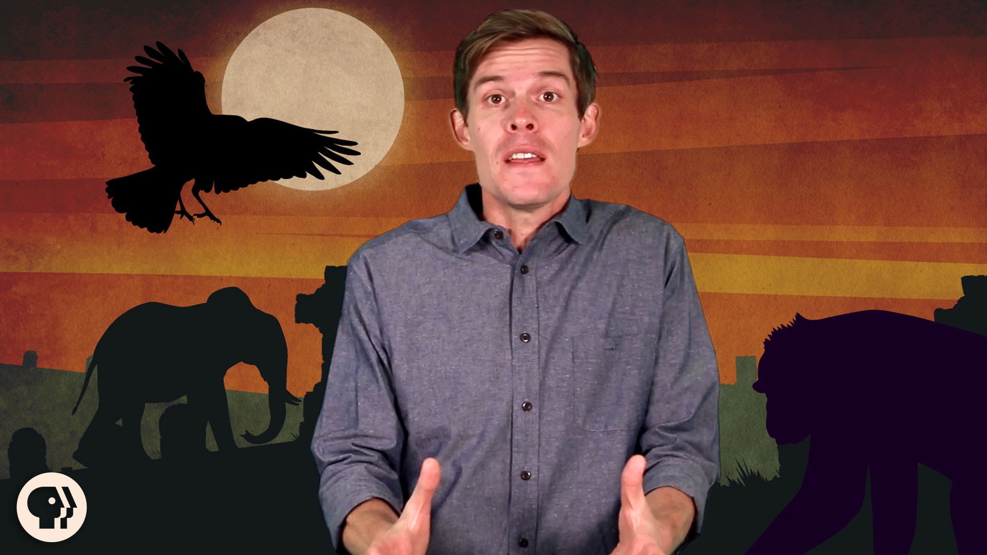 Here's Why Some Experts Think Animals Mourn Over Their Dead Videos