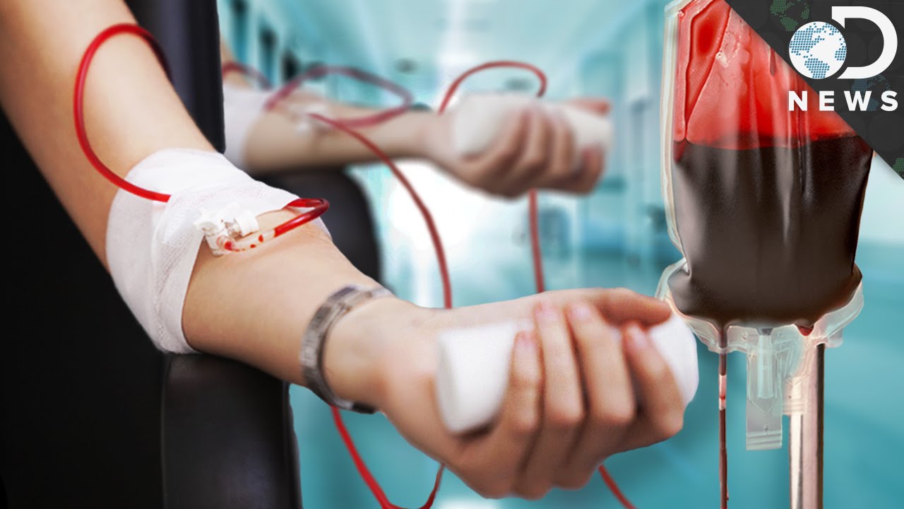 The Science Behind Blood Transfusions Videos