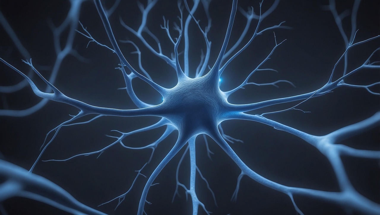 Human brain organoids gain sense of time and space