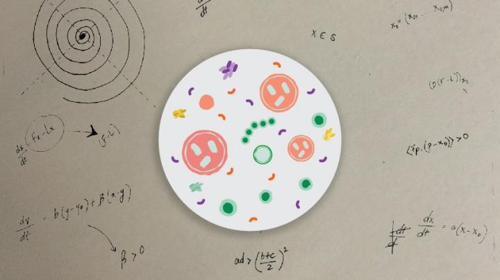 Mathematical Model may Help Understanding of Health and Disease | Cell ...