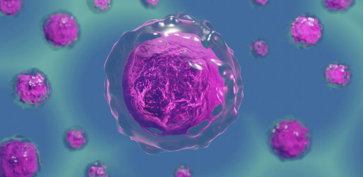 A Synthetic Cell That Grows and Divides Like a Natural One Cell And