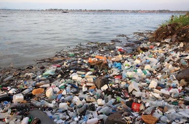 Plastic-eating enzyme could prevent plastic waste world domination - Vimarsana News