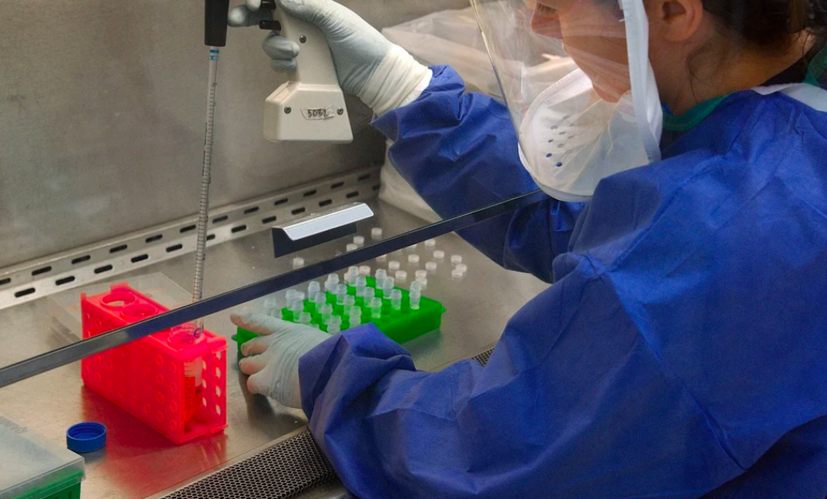 Organoids Reveal Common Mechanism Underlying Rare Disorders | Cell And  Molecular Biology