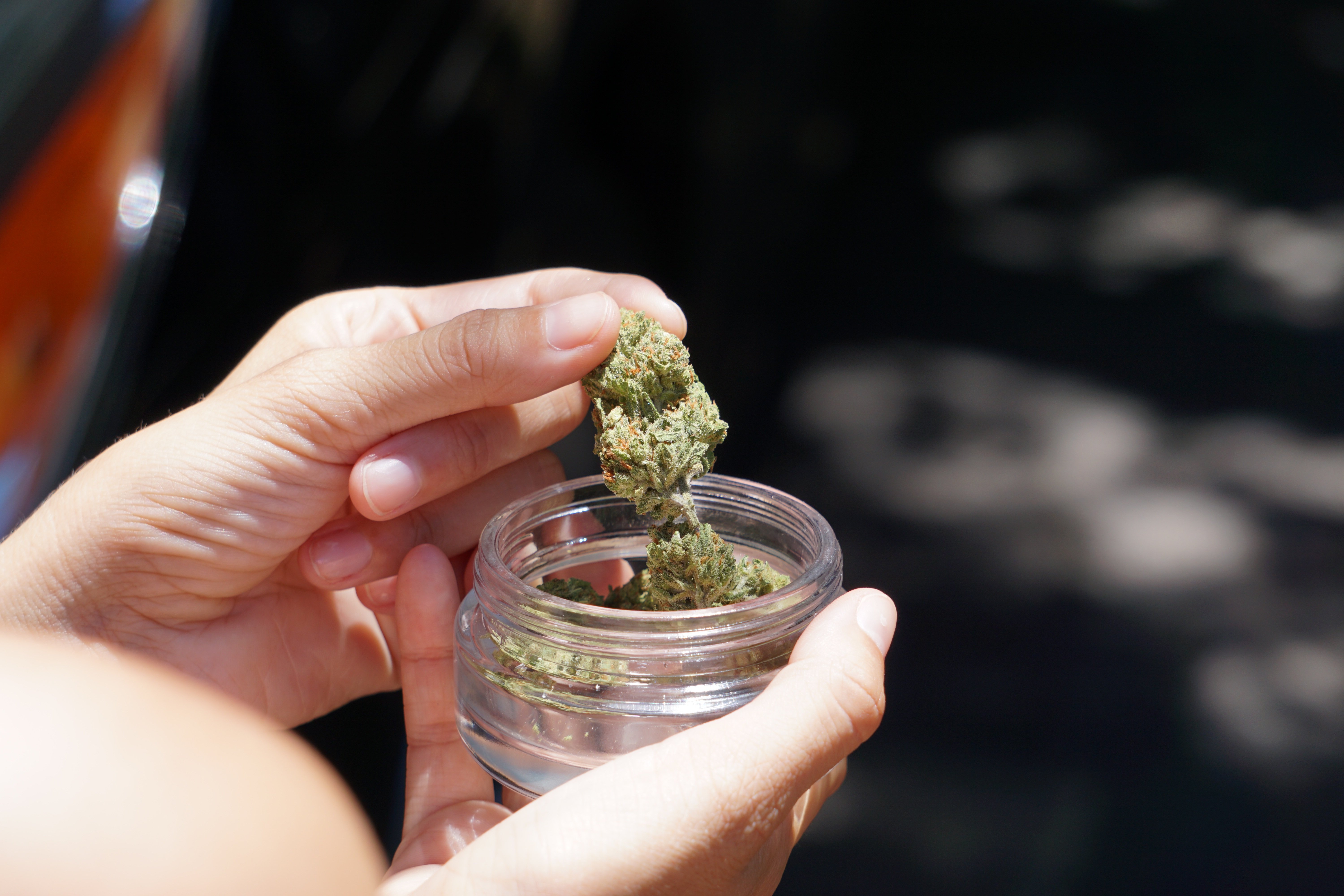 Medical Cannabis Linked to Lower Opioid Use for Pain