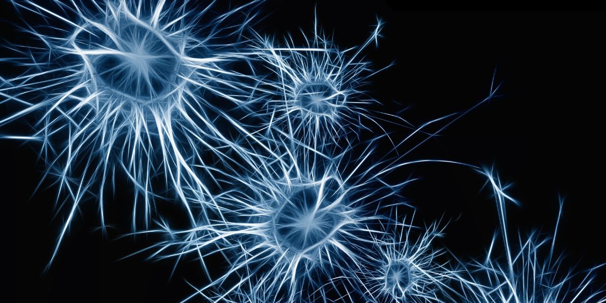 Researchers Identify New Biomarker for Depression and Treatment Response - Vimarsana News