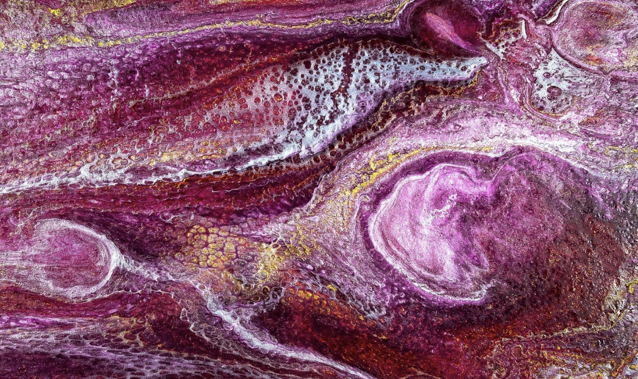 How Plant-Based Foods Boost the Gut Microbiome & Human Health