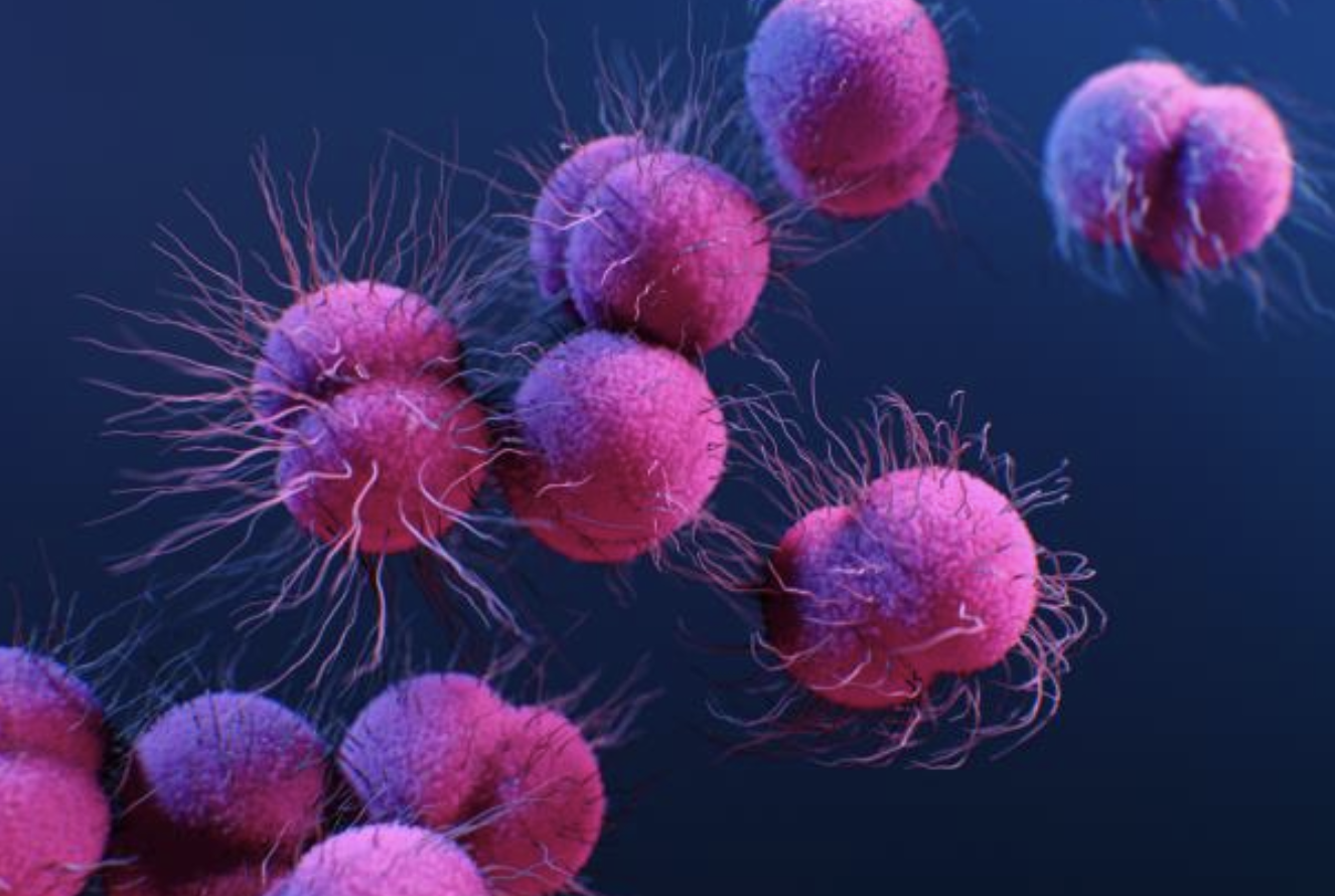 A New Strategy to Tackle Drug-Resistant Gonorrhea