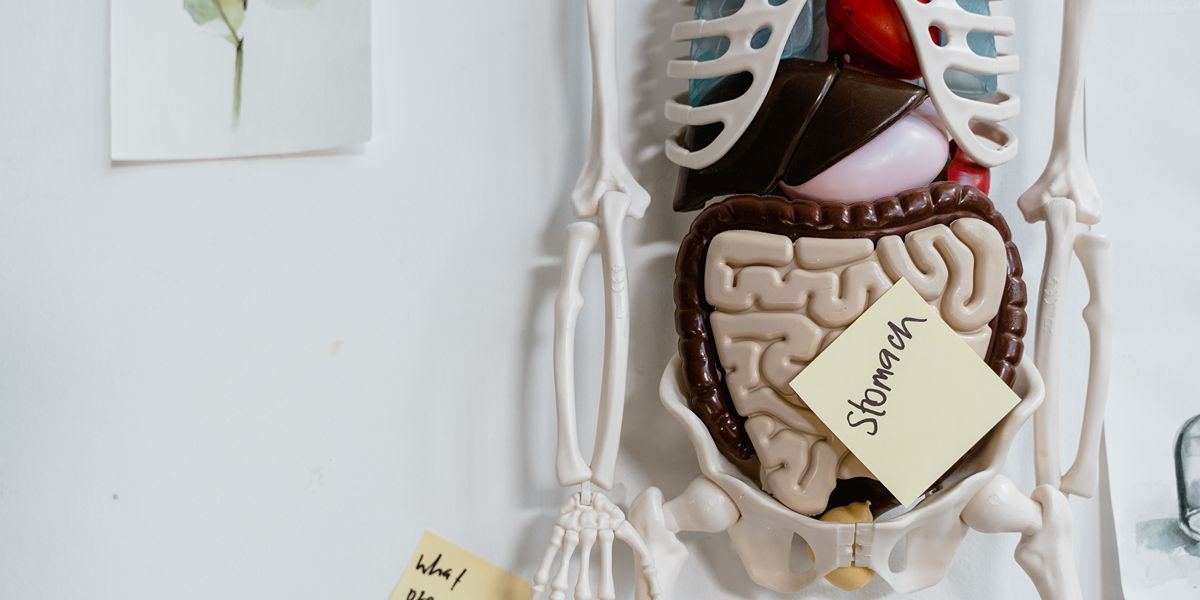 IBD Linked to Higher Risk of Psychiatric Disorders | Trending - Labroots