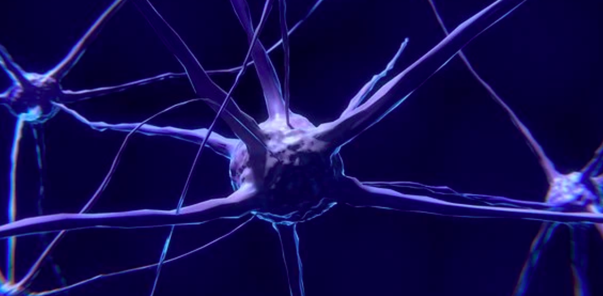 In a First, Bach1 Protein Linked to Parkinson's, Revealing Potential Treatment - Vimarsana News