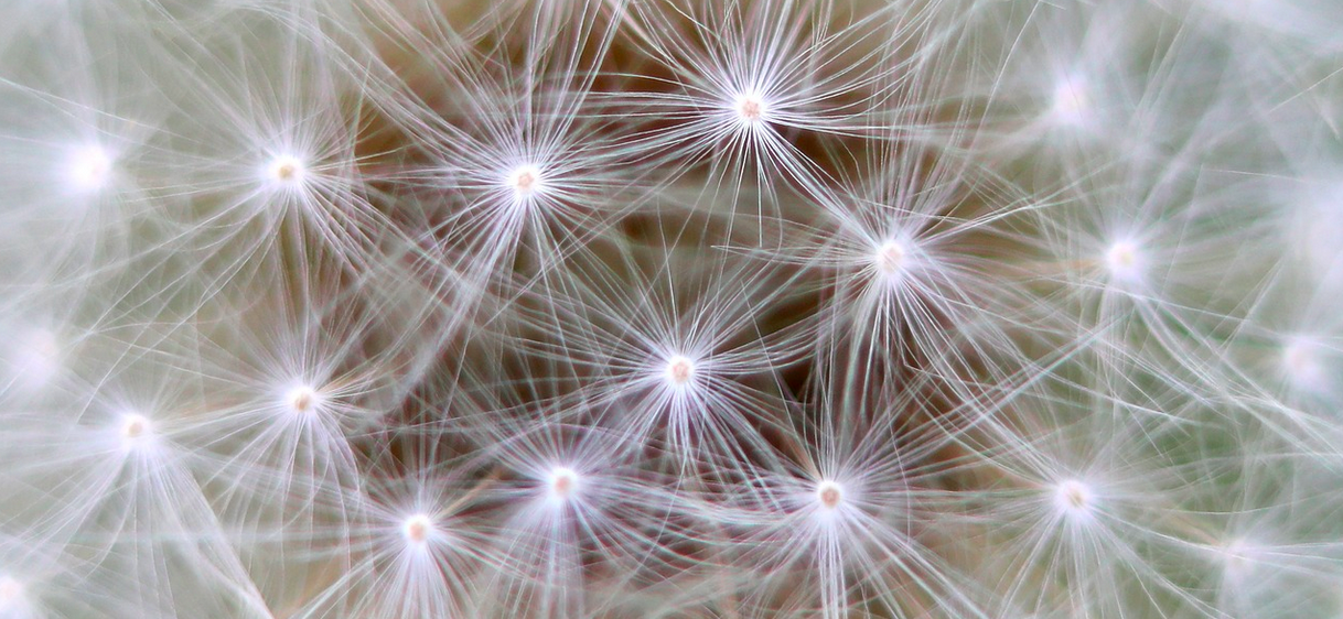 Glial Cells May be an Underappreciated Part of Our 'Second Brain' - Vimarsana News