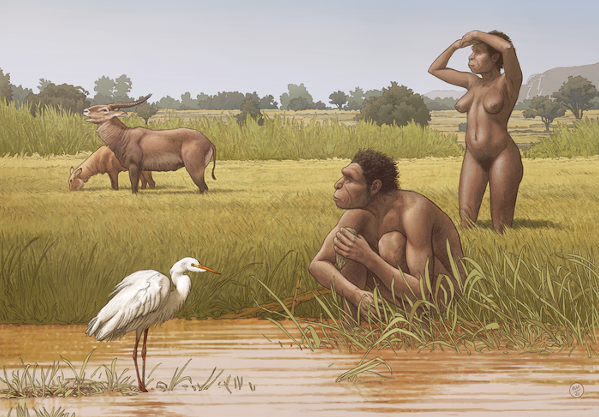 An Ancestor of Modern Humans is Given a Proper Name | Genetics And Genomics - Vimarsana News