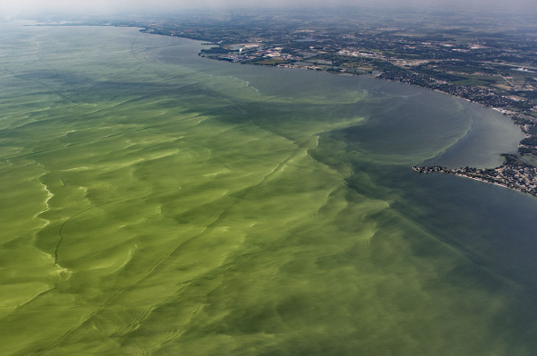 what s behind lake erie s algal blooms earth and the environment