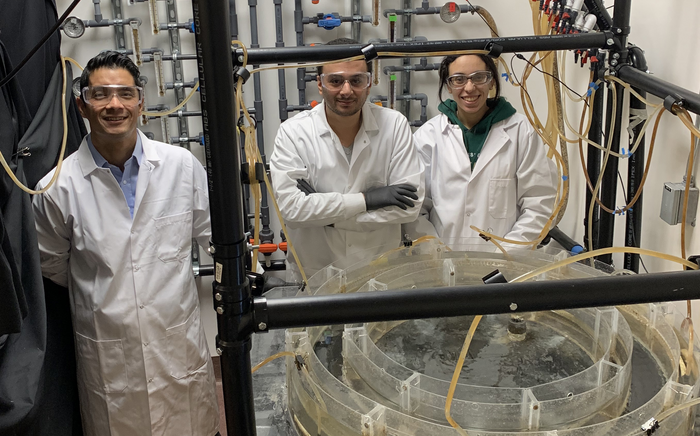 Researchers Suggest Letting Mild Fever Run Its Course and Postponing