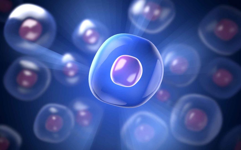 immune stem cells treat the most common type of liver cancer cell picture