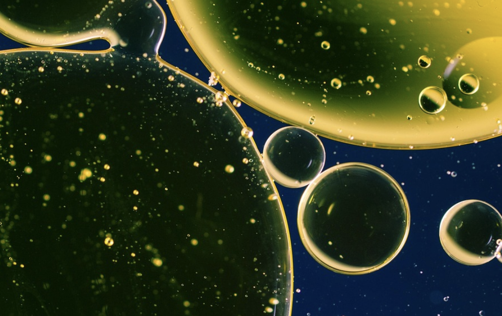Researchers Find a Cause of Inflammatory Bowel Disease