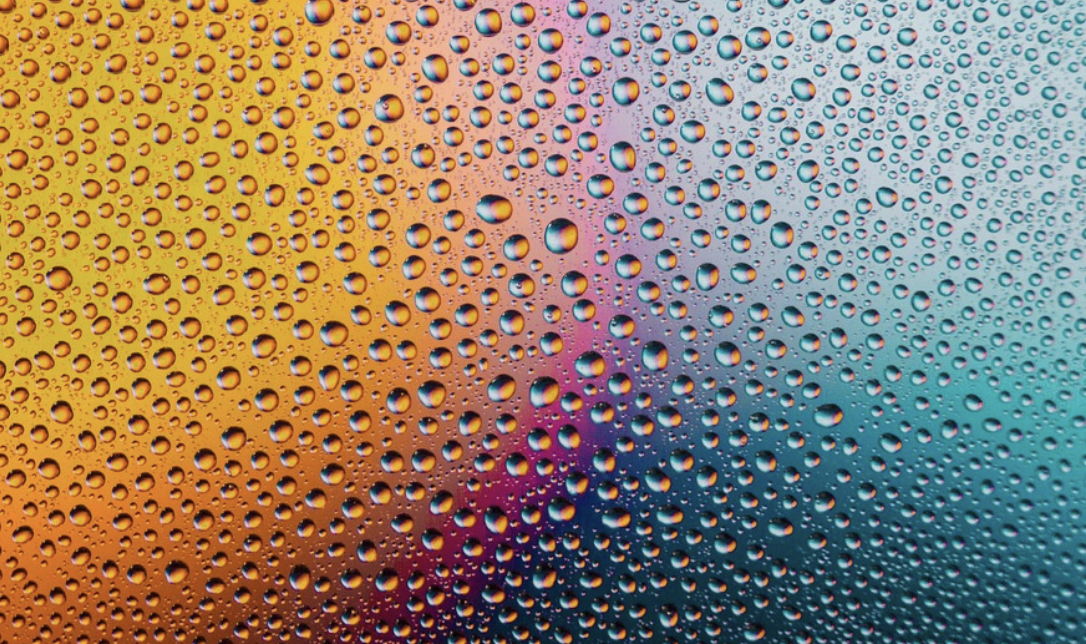 The Early Life Gut Microbiome is Linked to Emotional Health